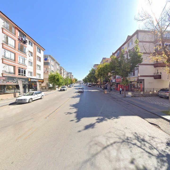 Fotoğraf 9