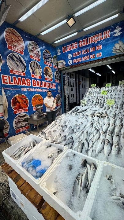 Öz Elmas Balıkçılık