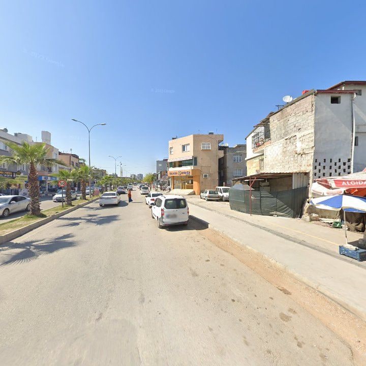 Fotoğraf 6