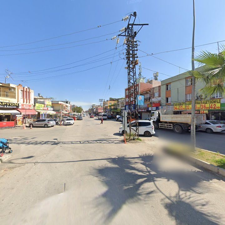 Fotoğraf 8