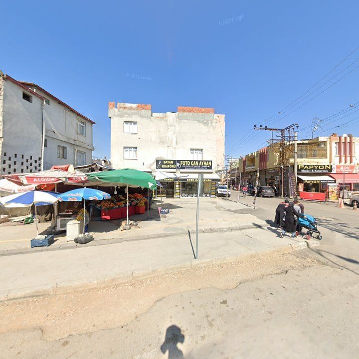 Fotoğraf 7