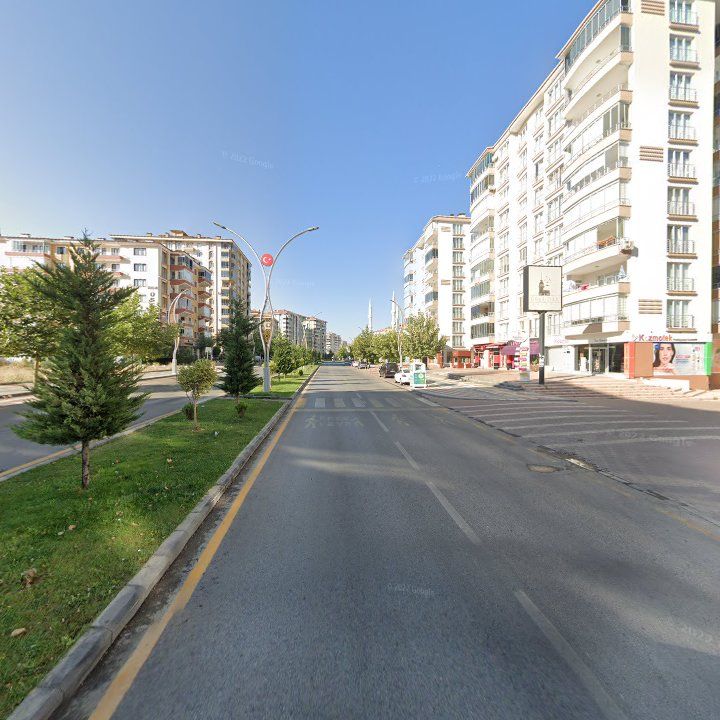 Fotoğraf 11