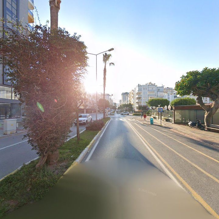 Fotoğraf 11