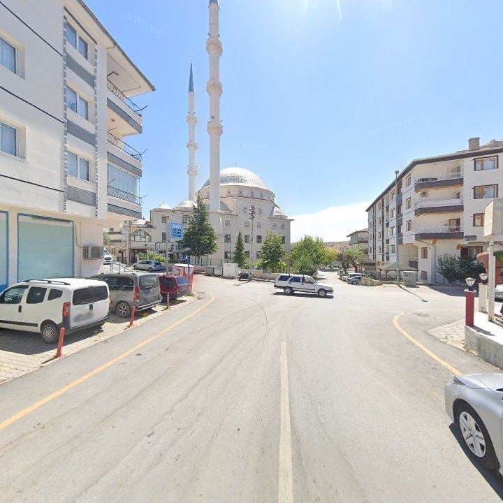 Fotoğraf 5
