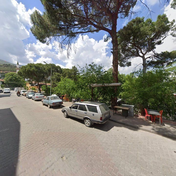 Fotoğraf 7
