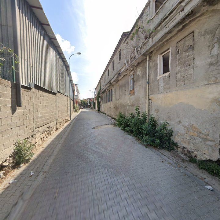 Fotoğraf 8