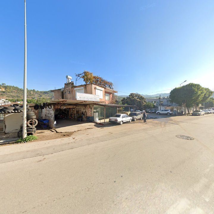 Fotoğraf 8