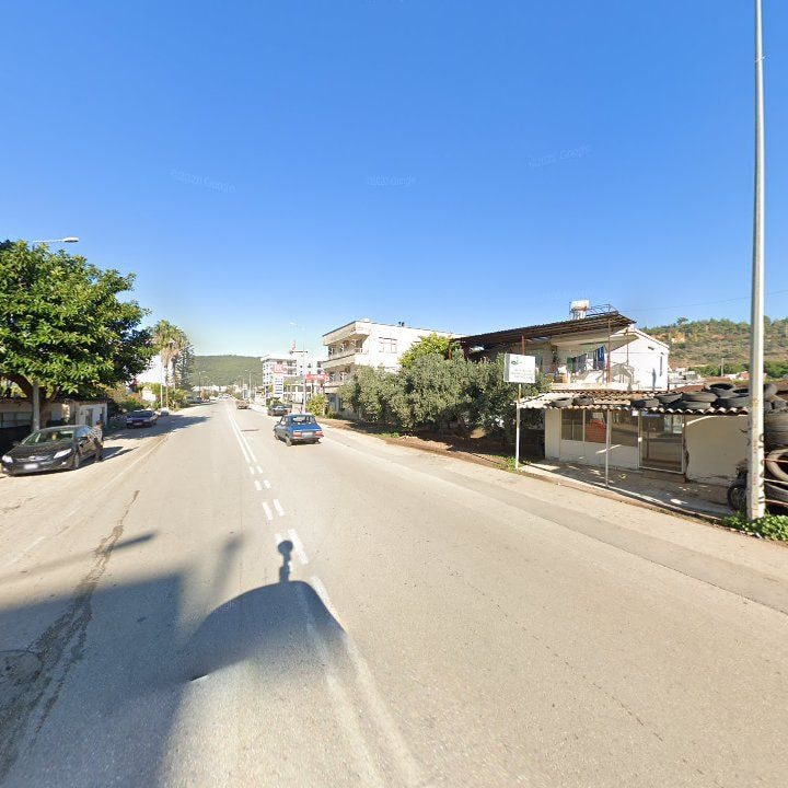 Fotoğraf 7