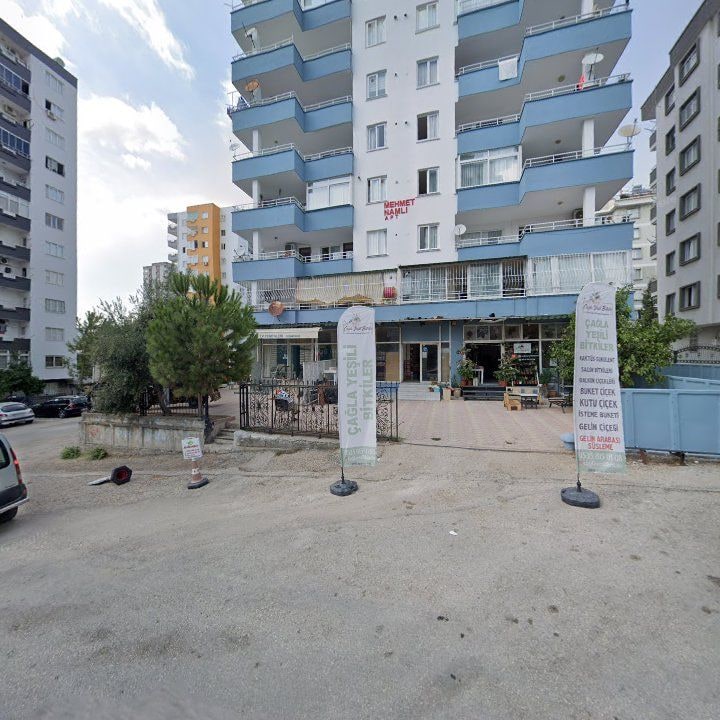 Fotoğraf 9