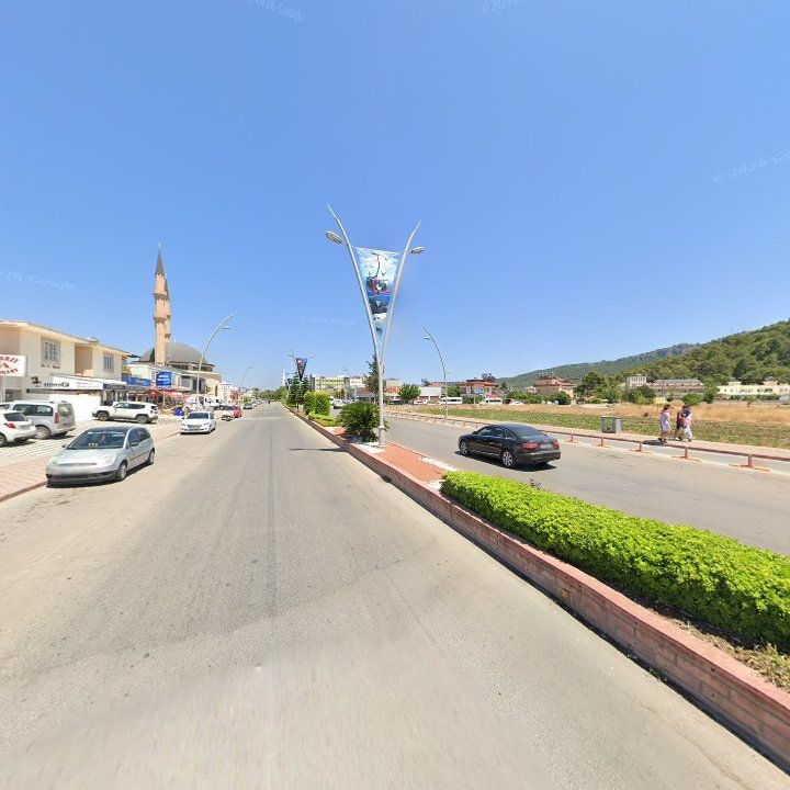 Fotoğraf 11