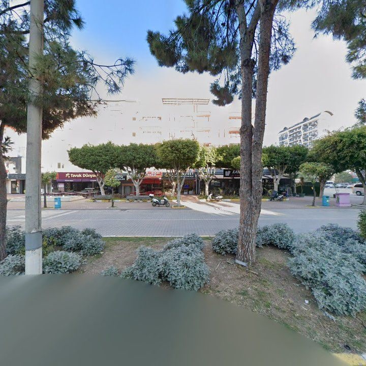 Fotoğraf 9