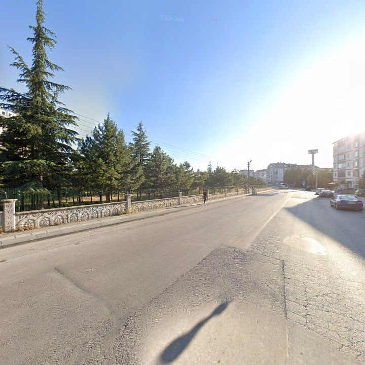 Fotoğraf 9