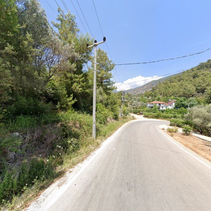 Fotoğraf 10