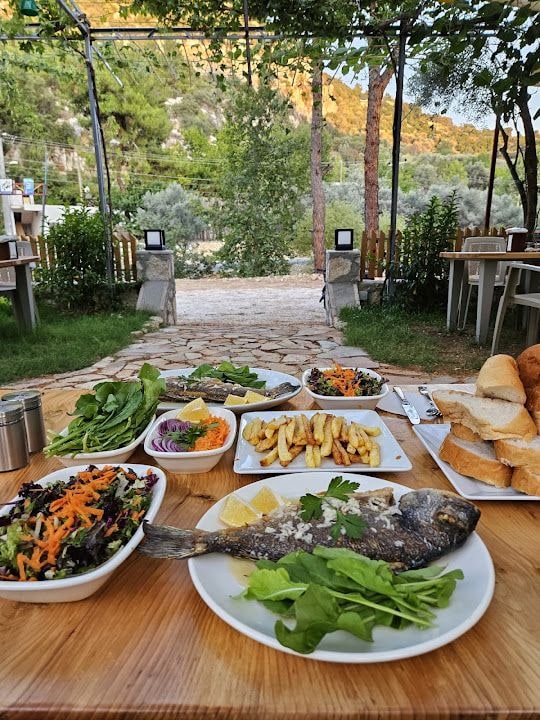 Fotoğraf 4