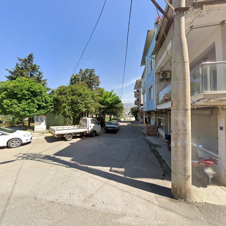 Fotoğraf 9