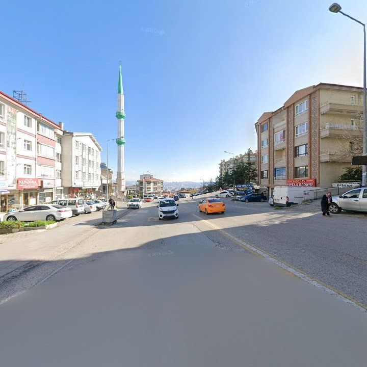 Fotoğraf 8