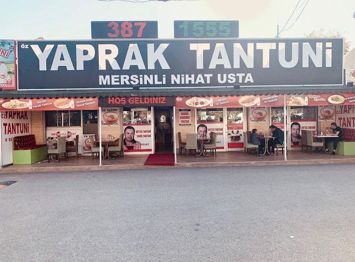ÖZ YAPRAK TANTUNİ