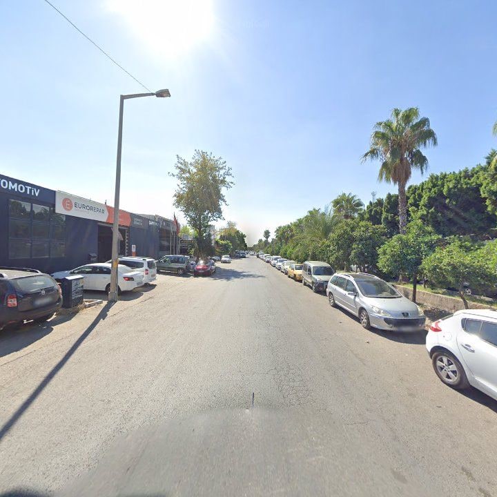 Fotoğraf 5