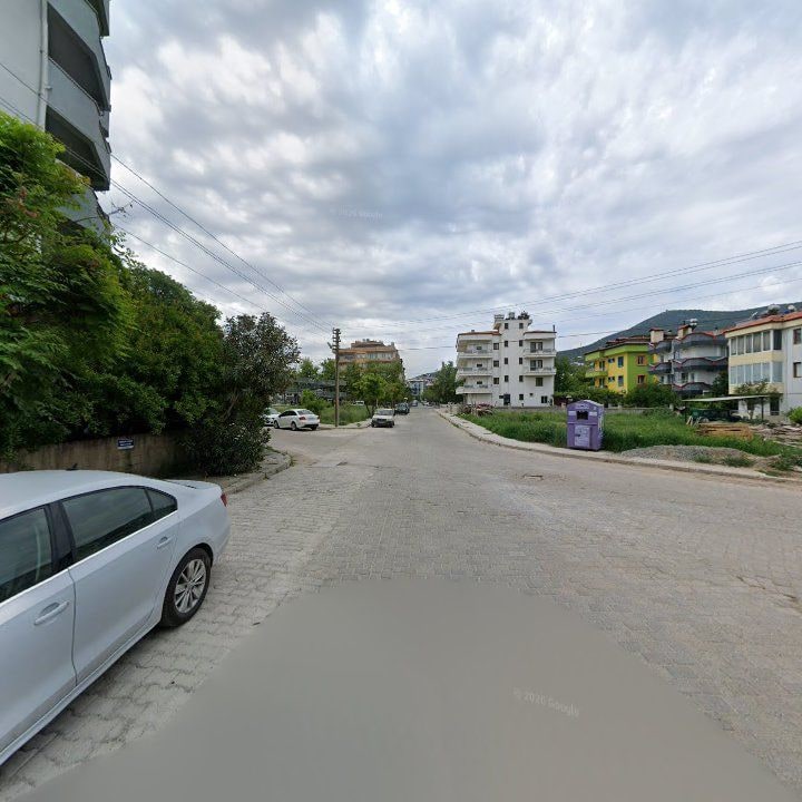 Fotoğraf 7