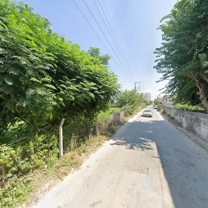 Fotoğraf 6