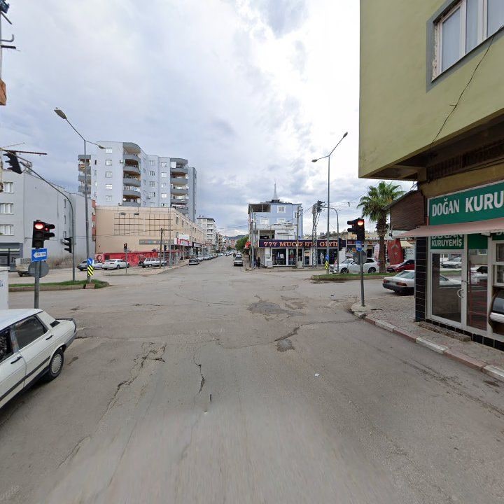 Fotoğraf 8