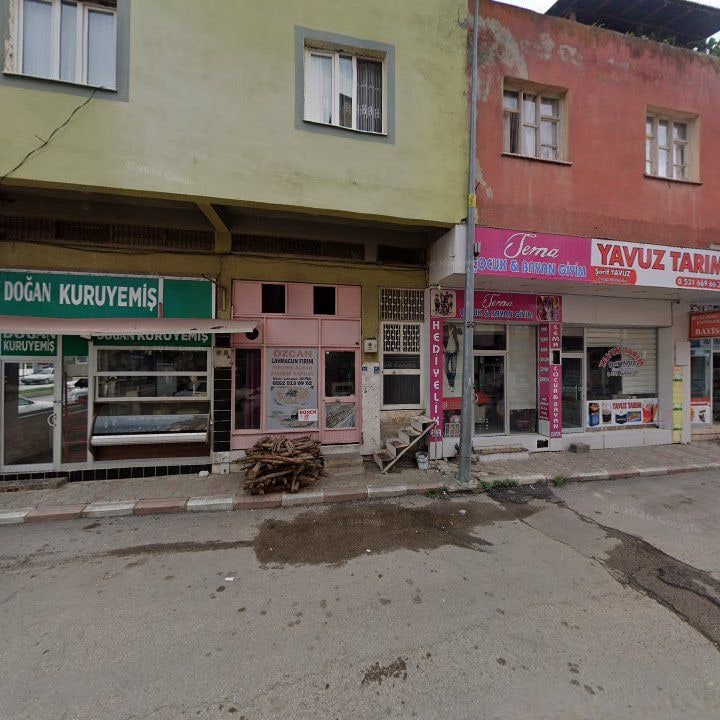 Fotoğraf 5