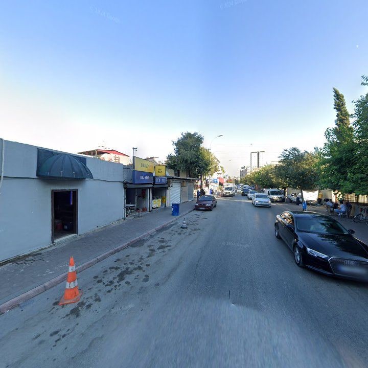 Fotoğraf 3