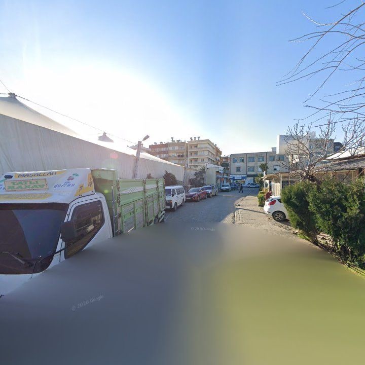 Fotoğraf 11