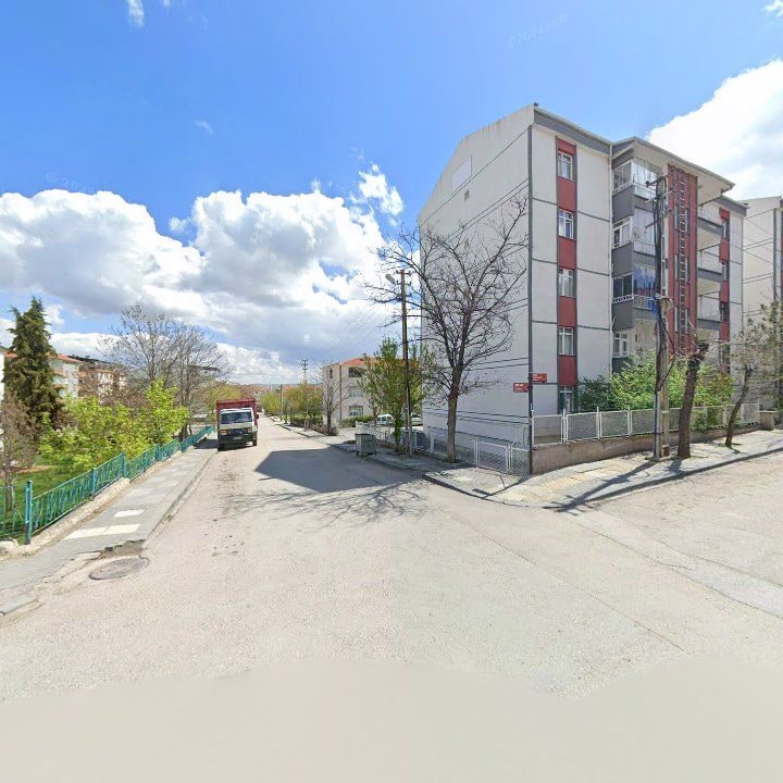 Fotoğraf 8