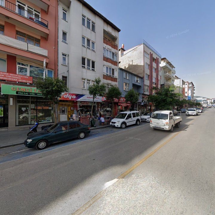 Fotoğraf 3