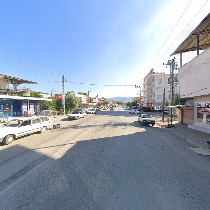 Fotoğraf 8