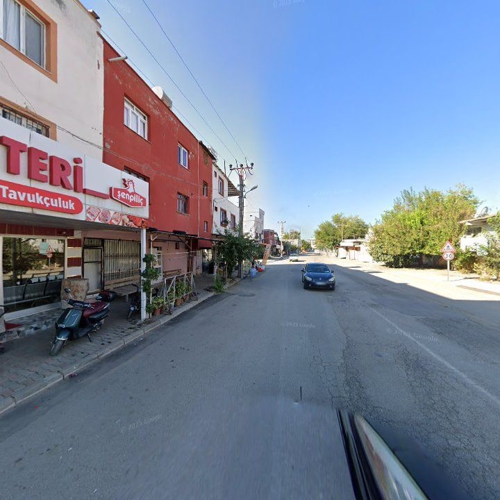 Fotoğraf 6
