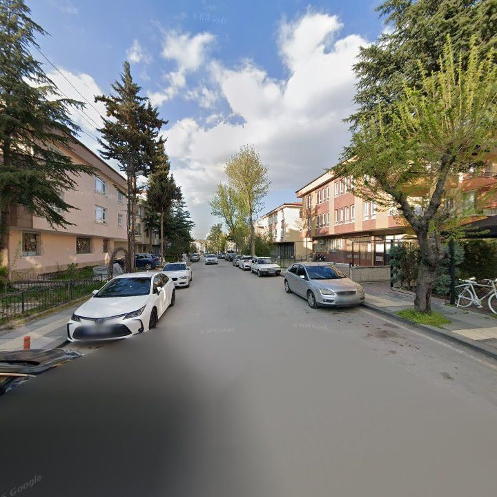 Fotoğraf 15