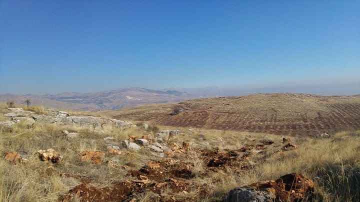 Özel Ağaçlandırma Sahası