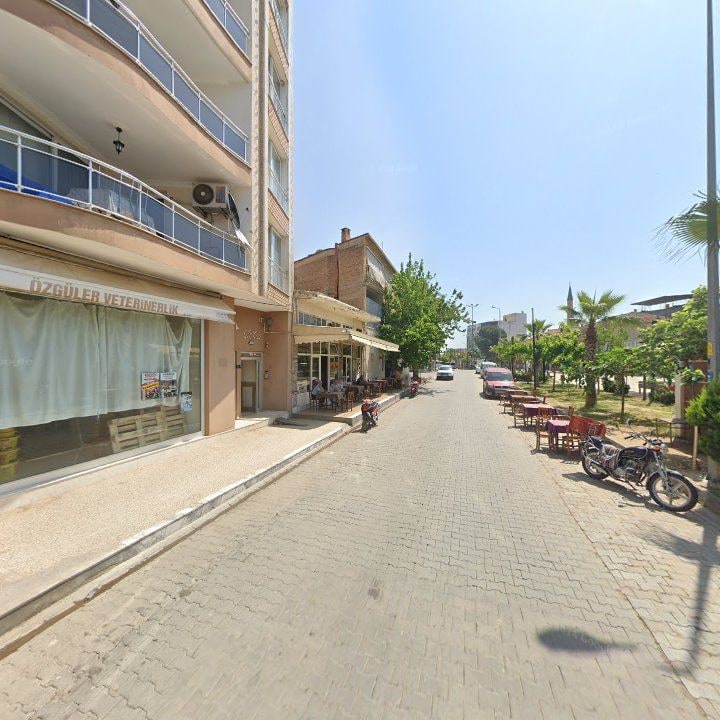 Fotoğraf 6