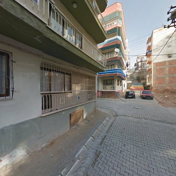 Fotoğraf 8