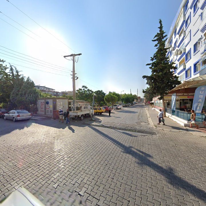 Fotoğraf 7
