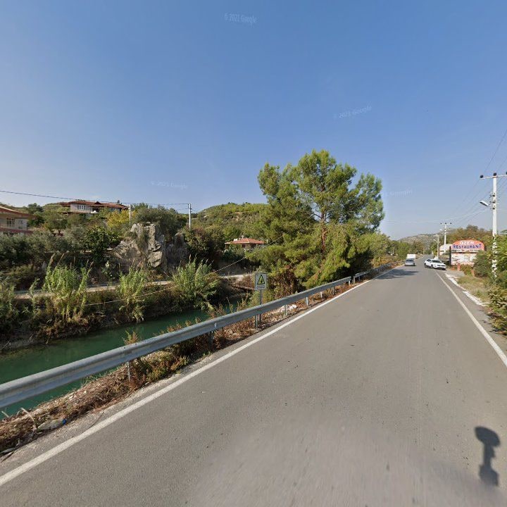 Fotoğraf 11