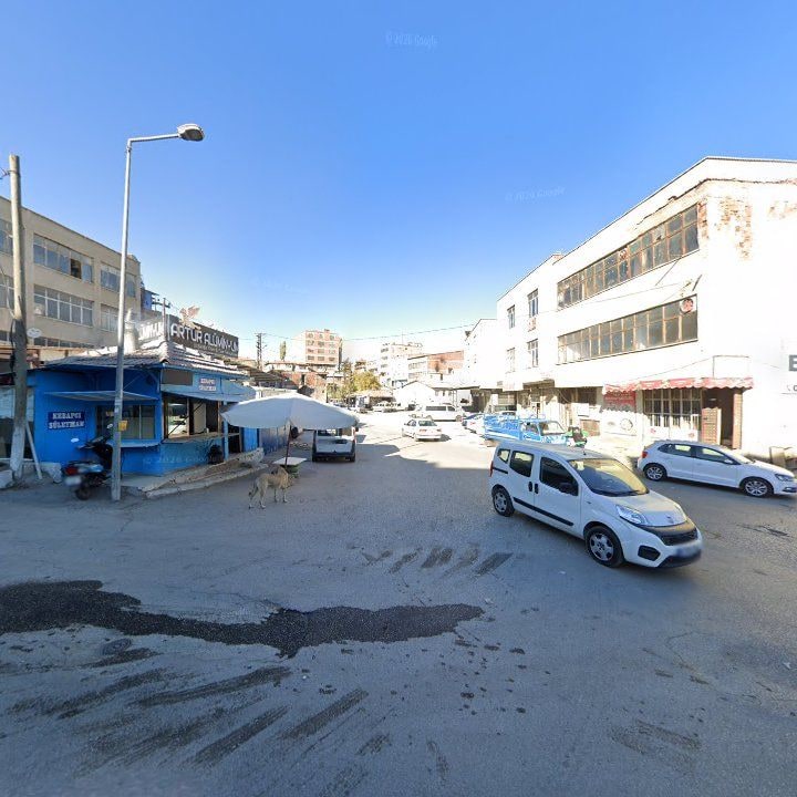 Fotoğraf 9