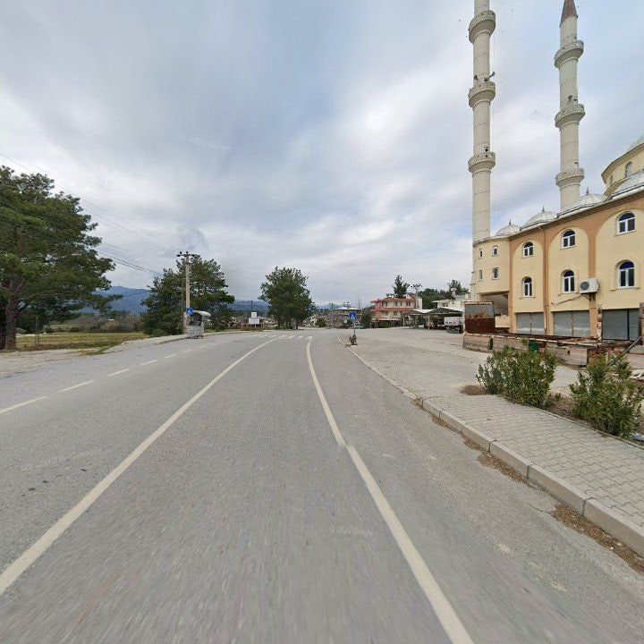 Fotoğraf 8