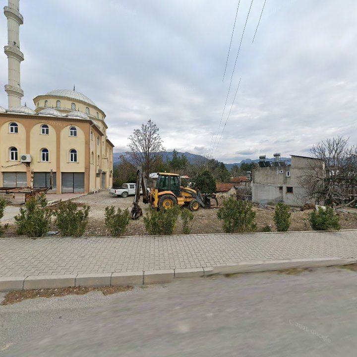 Fotoğraf 9