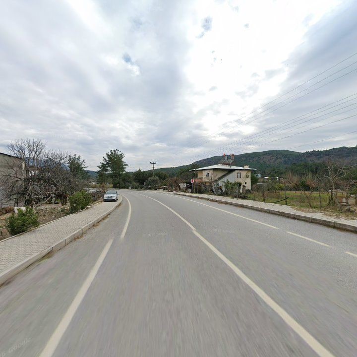 Fotoğraf 10