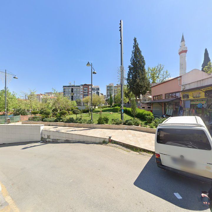 Fotoğraf 8