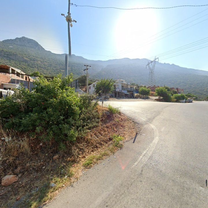 Fotoğraf 9