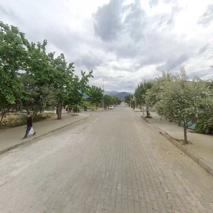 Fotoğraf 5