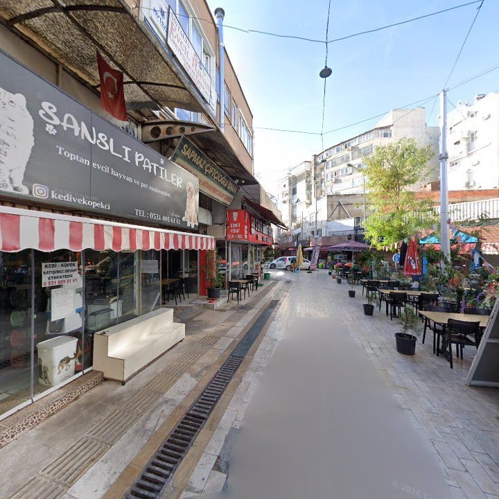 Fotoğraf 11