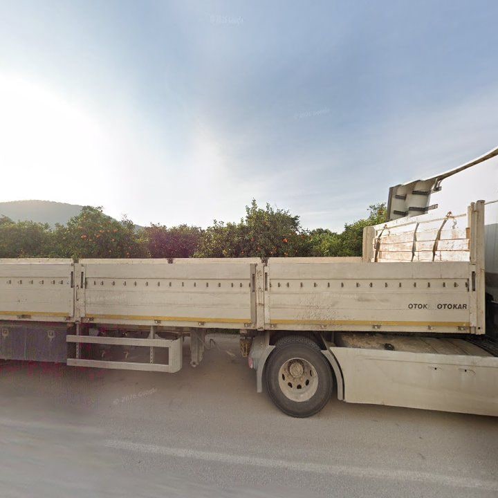 Fotoğraf 11