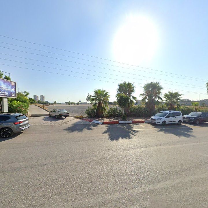 Fotoğraf 8