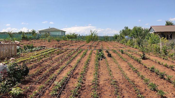 Özkul Hobi Bahçesi