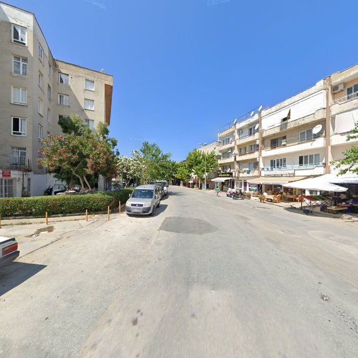 Fotoğraf 8